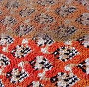 Химчистка ковров, мягкой мебели на дому.