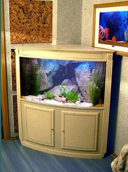 Обслуживание аквариумов