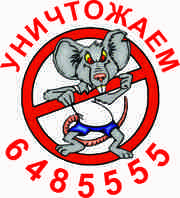 уничтожение клопов в истре, уничтожение клопов в москве