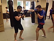 Смешанные единоборства, мма, миксфайт (бесплатно)