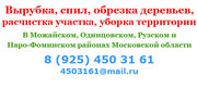 Спил деревьев, вырубка деревьев, обрезка деревьев, расчистка участка