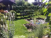 Благоустройство и обслуживание территорий