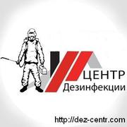 Уничтожение насекомых и грызунов Центр Дезинфекции