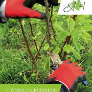 Служба садовников от ландшафтного центра 