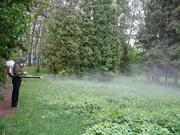 Уничтожение крыс,  мышей,  тараканов,  комаров,  клопов,  блох,  мух