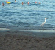 Предложение для отдыха на Черном море.