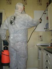 Уничтожить насекомых,  грызунов. Тараканов,  клопов,  блох,  муравьев