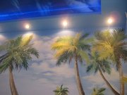 роспись стен детской,  офиса,  бассейна, кухни.декоративная штукатурка