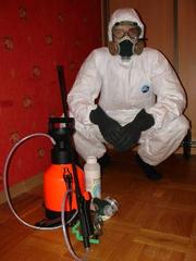 Клопы,  клещи,  крысы , блохи,  мыши  мухи,  пауки,  жуки,  комары,  муравьи,  